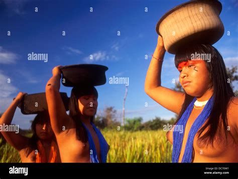  Xingu: Eine Reise durch die Geschichte und den Schmerz Brasiliens